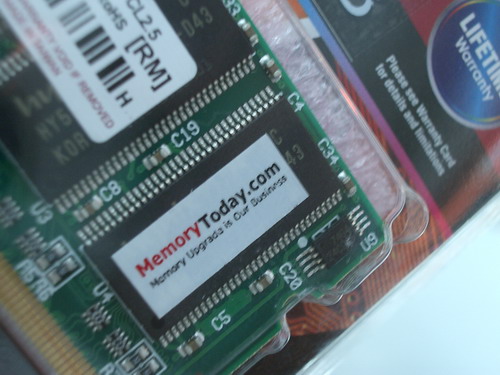 IMGP7797.JPG
