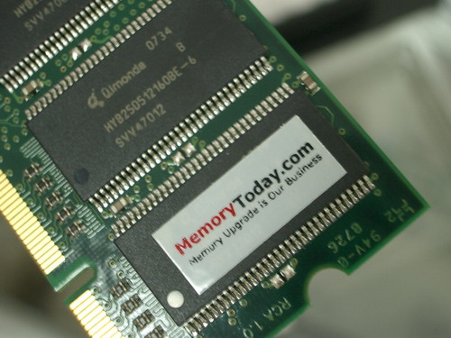 IMGP7800.JPG