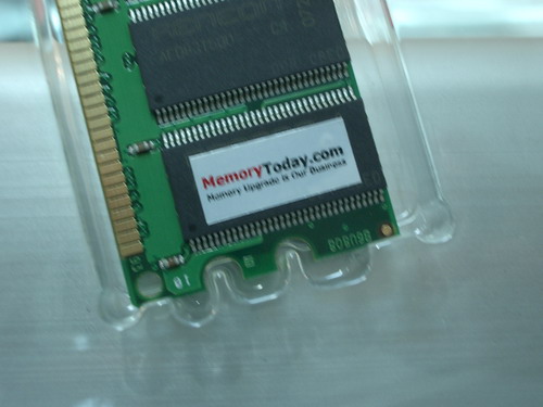 IMGP7807.JPG