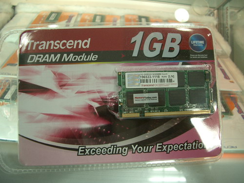 IMGP7809.JPG