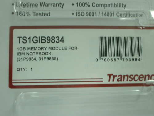 IMGP7811.JPG