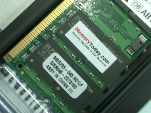 IMGP7814.JPG