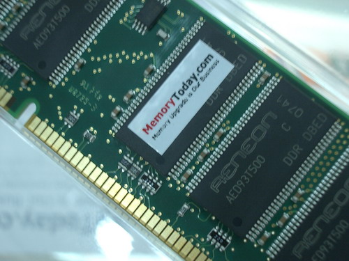 IMGP7817.JPG