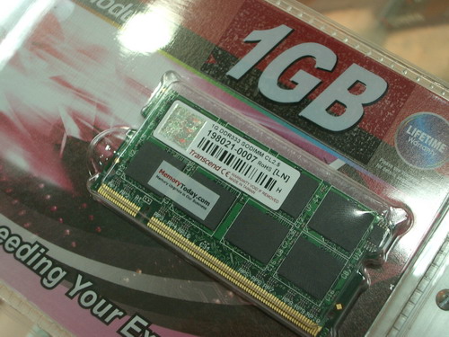IMGP7823.JPG