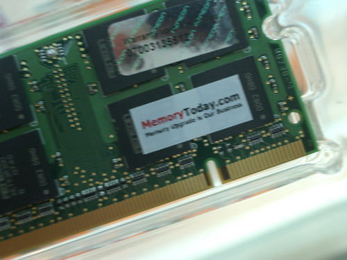 IMGP7830.JPG