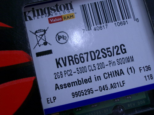 IMGP7835.JPG