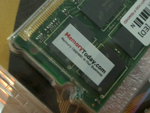 IMGP7855.JPG
