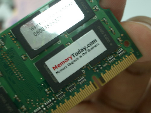 IMGP7870.JPG