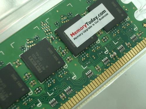 IMGP7874.JPG