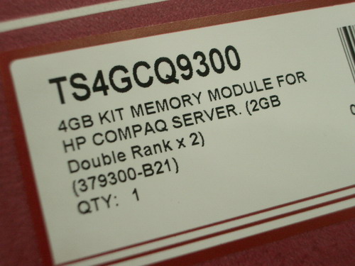 IMGP7935.JPG
