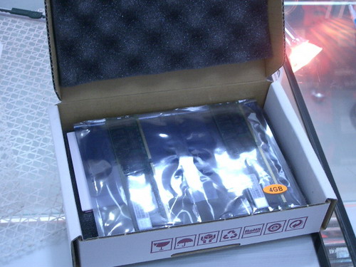 IMGP7936.JPG