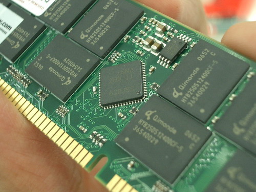 IMGP7938.JPG