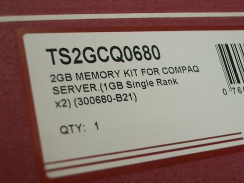 IMGP7941.JPG