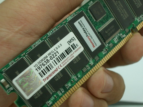 IMGP7943.JPG