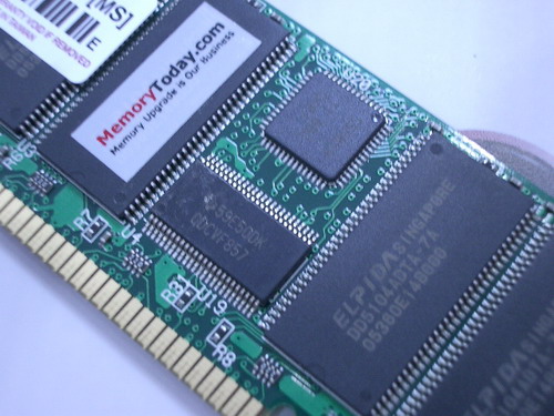 IMGP7945.JPG