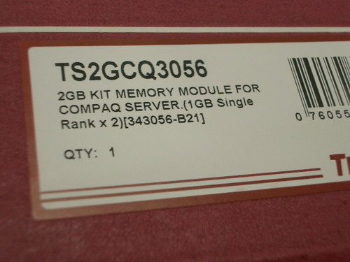 IMGP7957.JPG