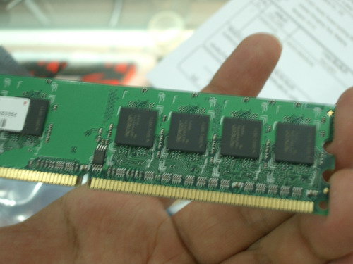 IMGP7974.JPG