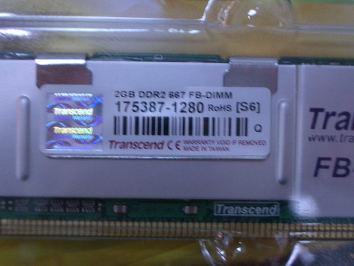 IMGP7979.JPG
