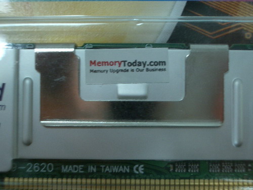 IMGP7983.JPG