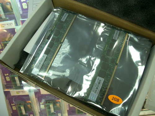 IMGP7985.JPG