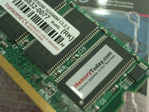 IMGP7995.JPG