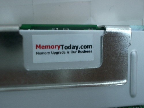IMGP8001.JPG