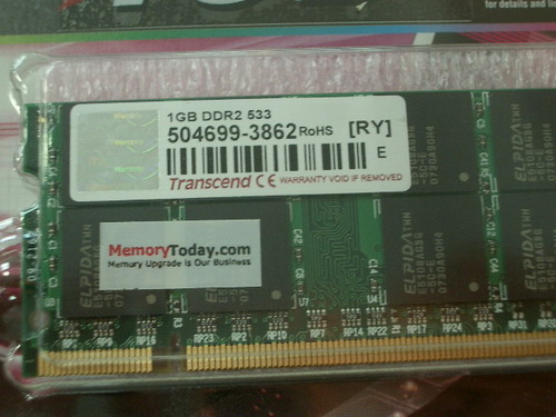 IMGP8005.JPG