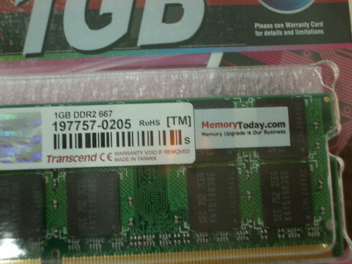IMGP8006.JPG