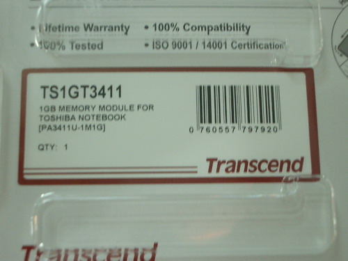 IMGP8008.JPG