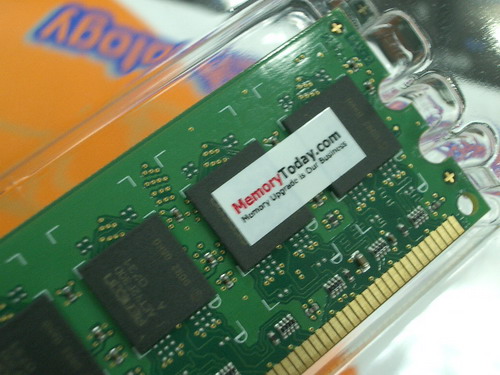 IMGP8021.JPG