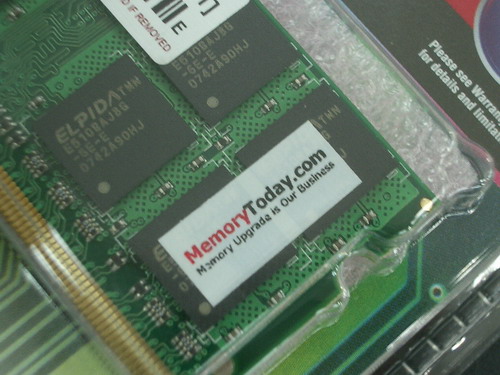 IMGP8026.JPG