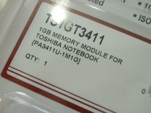IMGP8033.JPG