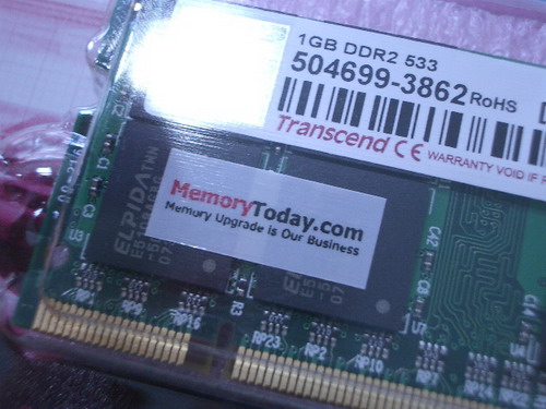 IMGP8034.JPG