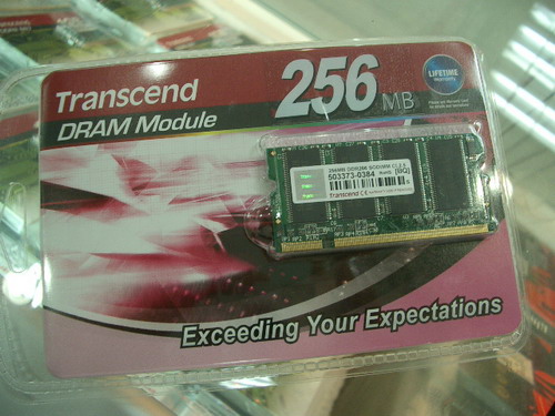 IMGP8036_resize.JPG