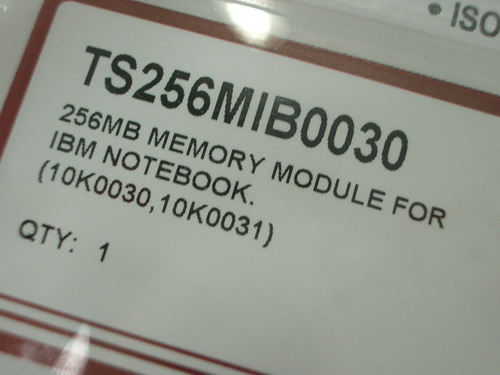 IMGP8037_resize.JPG