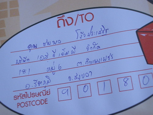 IMGP8040_resize.JPG