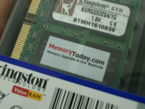 IMGP8045_resize.JPG