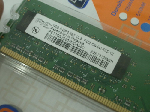 IMGP8046_resize.JPG