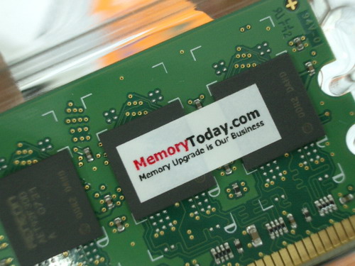 IMGP8048_resize.JPG