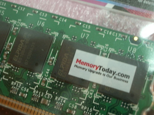 IMGP8053.JPG