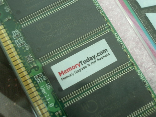 IMGP8063.JPG