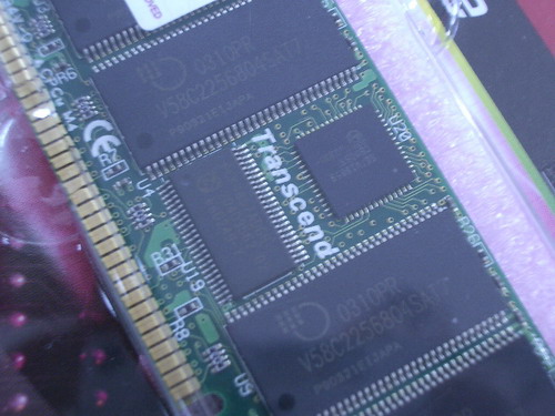 IMGP8064.JPG