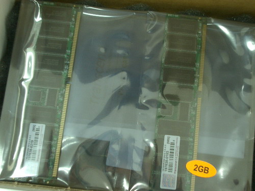 IMGP8072.JPG