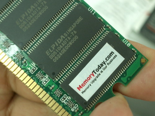 IMGP8074.JPG
