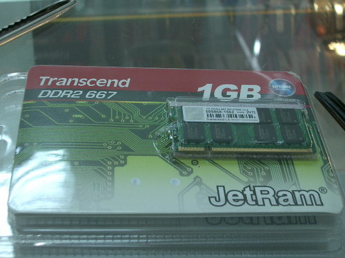 IMGP8075.JPG