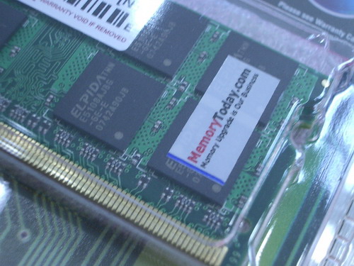 IMGP8078.JPG