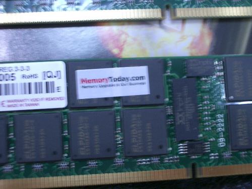 IMGP8081.JPG