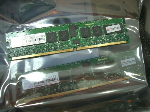 IMGP8087.JPG