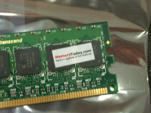 IMGP8088.JPG