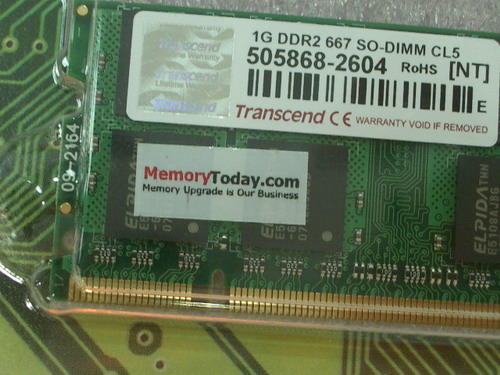 IMGP8091.JPG